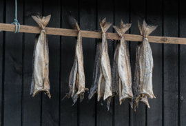 Fiskivinnuroyndir 2023