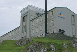 Stjóri til Vinnuháskúlan
