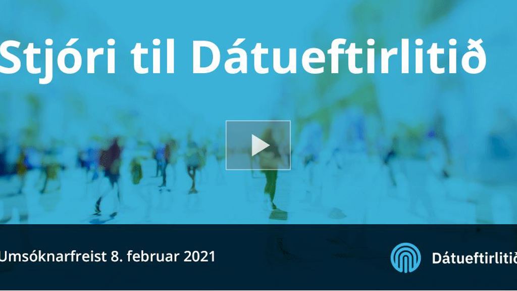 Stjóri til Dátueftirlitið