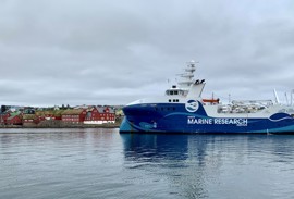Stjóri til Havstovuna