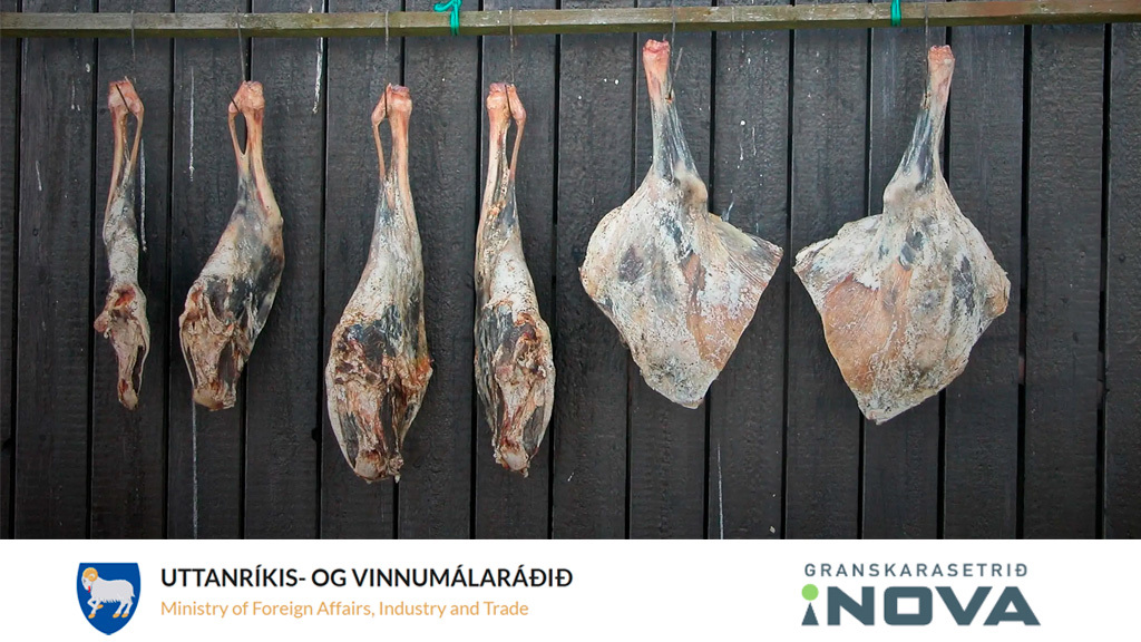 Sjóneykuna á føroyskt tilfeingi - Ráðgevi til Mat- og tilfeingishúsið