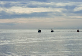 Fiskivinnuroyndir 2022