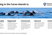 Statement from Government of the Faroe Islands on Grindalógin