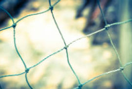 Fiskivinnuroyndir – framløgudagur hin 25. februar í Kongshøll á Vestaru bryggju í Tórshavn.