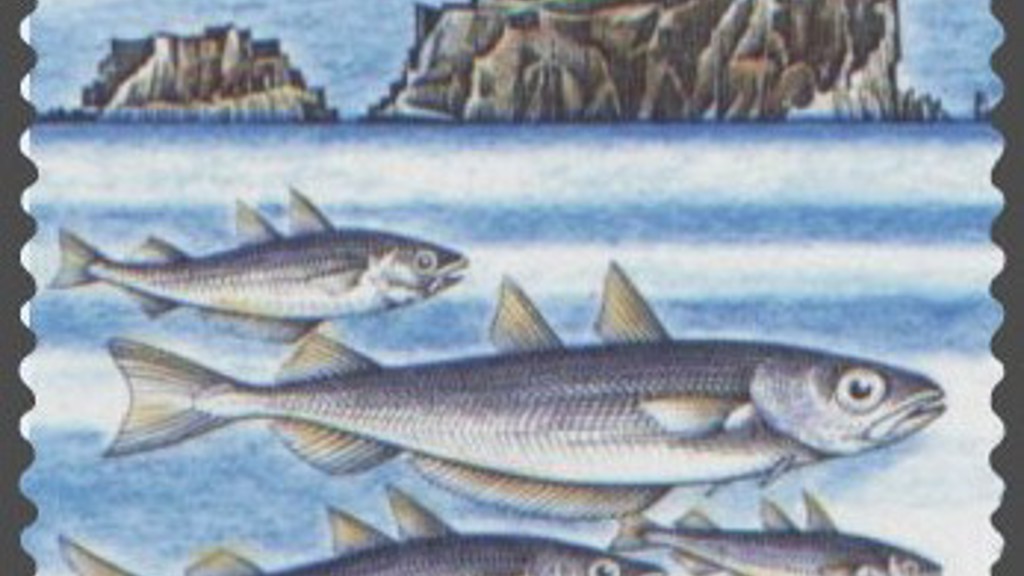 Fiskamarknaðurin selt svartkjaftakvotu á uppboðssølu