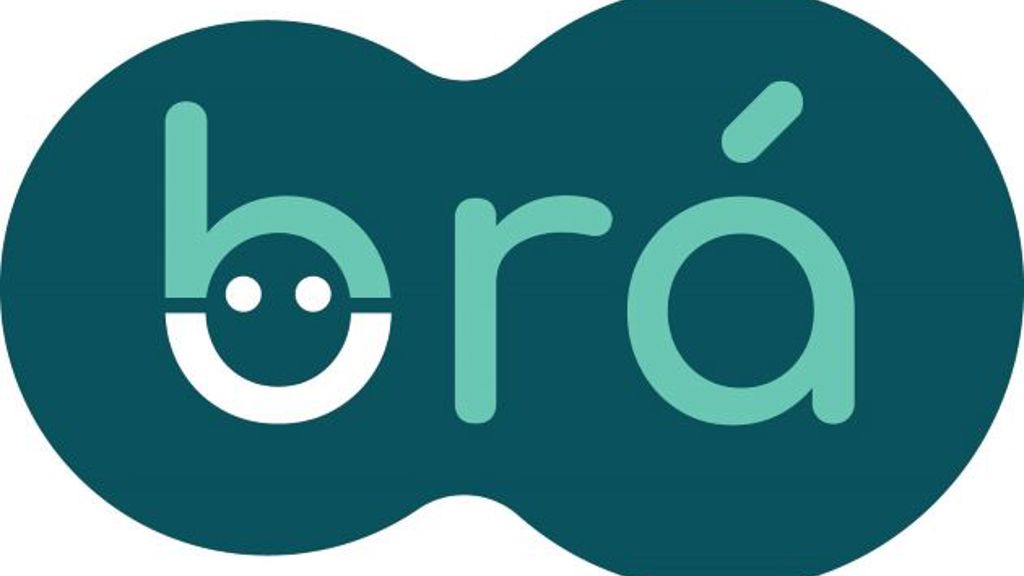 Brá-skipan (smiley) í gildi 1. apríl 2025