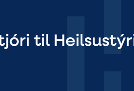 12 umsóknir til starvið sum stjóri í Heilsustýrinum