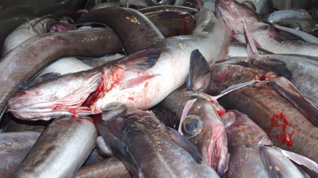 Norðurlendska ráðharraráðið innan fiskivinnusamstarv letur stuðul til verkætlanir