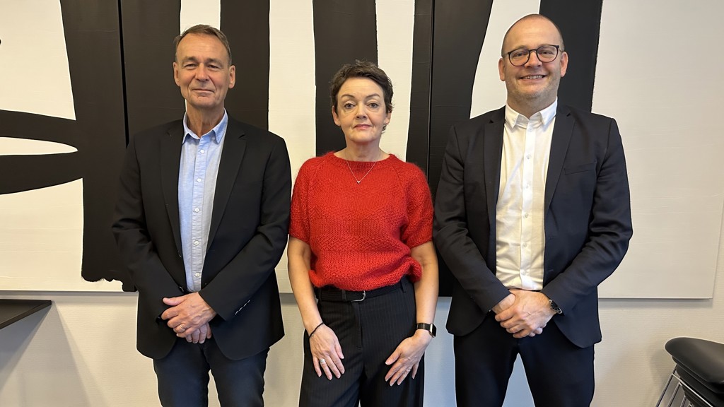 Heilsustýrið: Vegleiðing um skíggjanýtslu