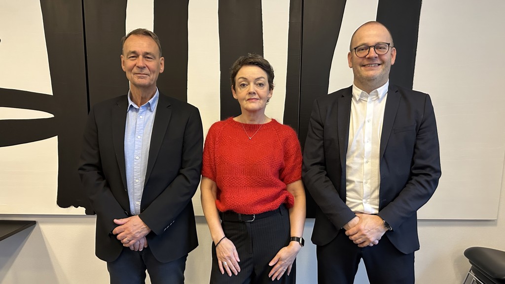 Heilsustýrið: Vegleiðing um skíggjanýtslu