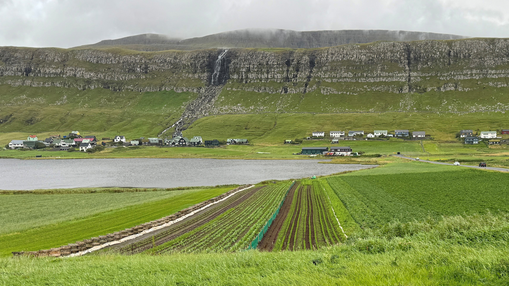 Lýst verður eftir umsóknum til verkætlanir, ið kunnu skapa størri vitan, menning og vøkstur á landbúnaðarøkinum.