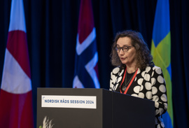 Sirið Stenberg á ársfundi Norðurlandaráðsins
