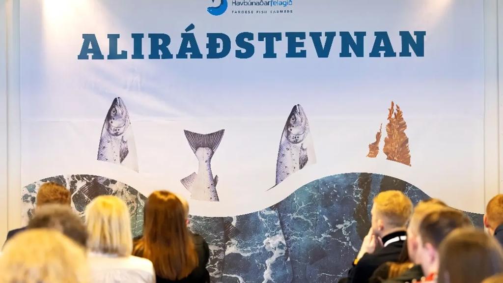 Setanarrøða hjá Høgna Hoydal til Aliráðstevnuna 2025